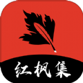 9:1短视频APP应用