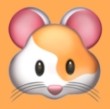 蓝莓小视频APP应用